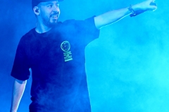 MIKE SHINODA